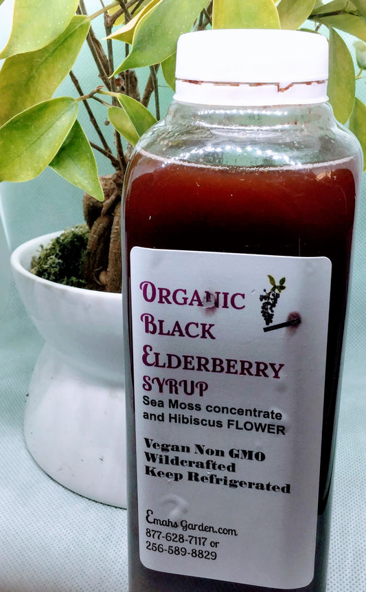 Organic Elderberry Syrup with Hibiscus 16 OZ