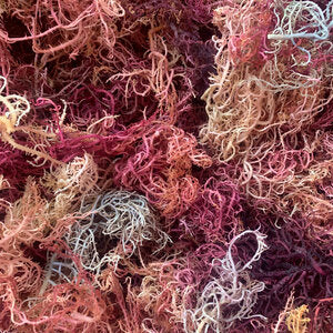 Pictures of Full Spectrum - Full spectrum sea moss, a natural aquatic supplement, offers a range of benefits derived from its vibrant colors: Purple, Gold, and Green. 1.	Purple Sea Moss: Rich in antioxidants and phytonutrients