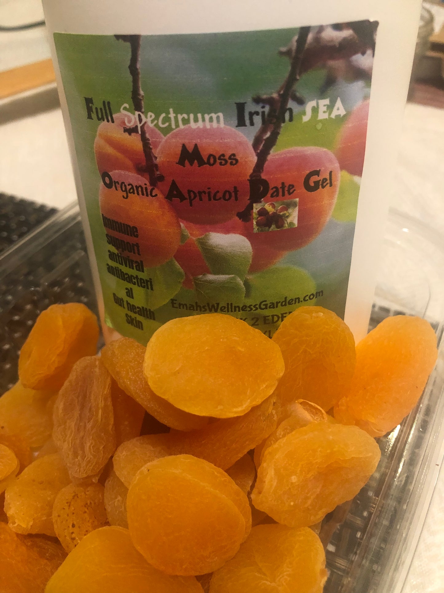 Organic Apricot Date Irish Sea Moss 32 OZ