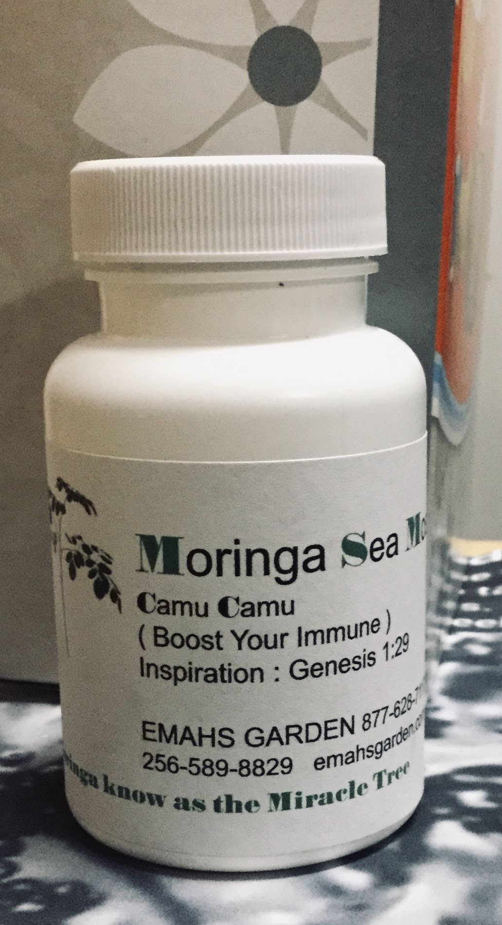 Organic Moringa Capsules 60 CT