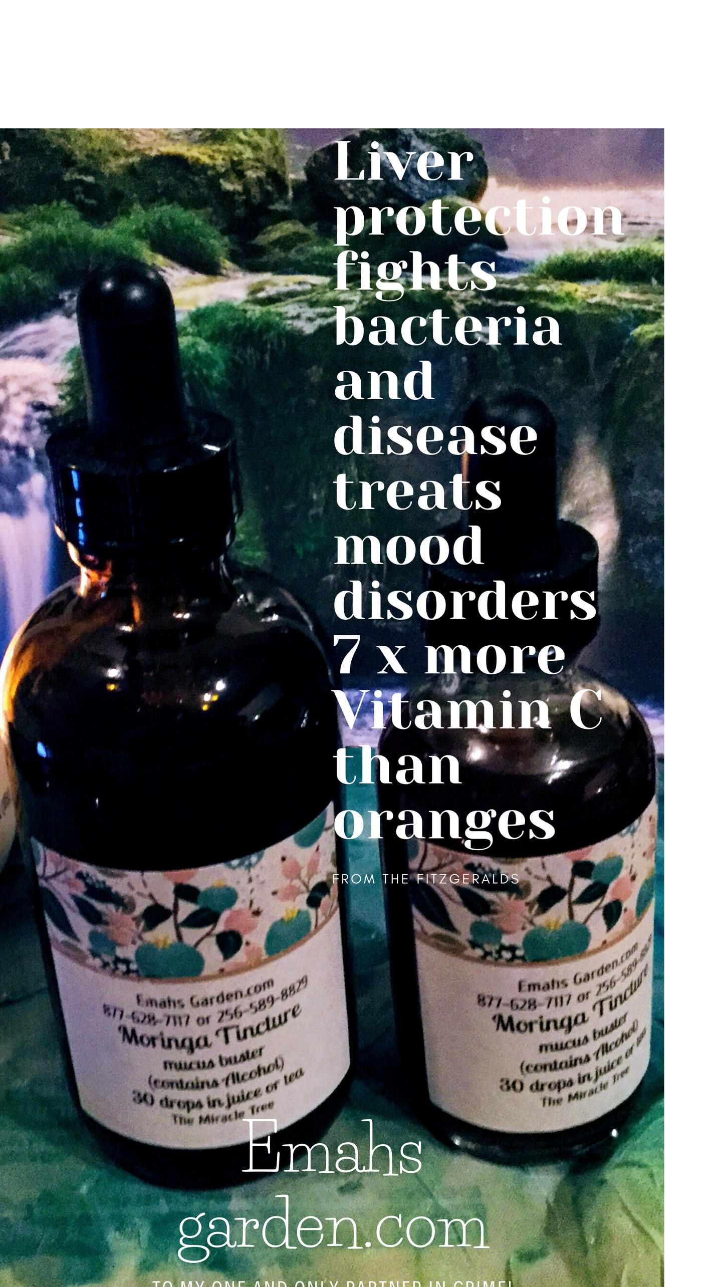 Moringa Organic Tincture