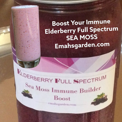 Organic Elderberry Full Spectrum Sea Moss with Bladderwrack