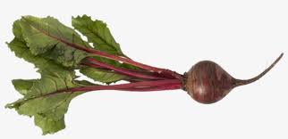 Mossy Beets